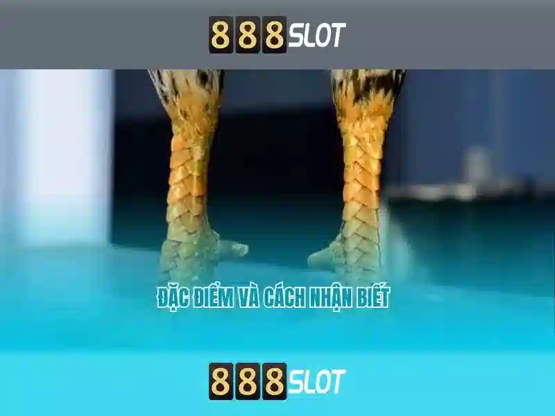 https 888slot com login – Trải nghiệm đỉnh cao cùng scr 888 slot game và nana 888 slot