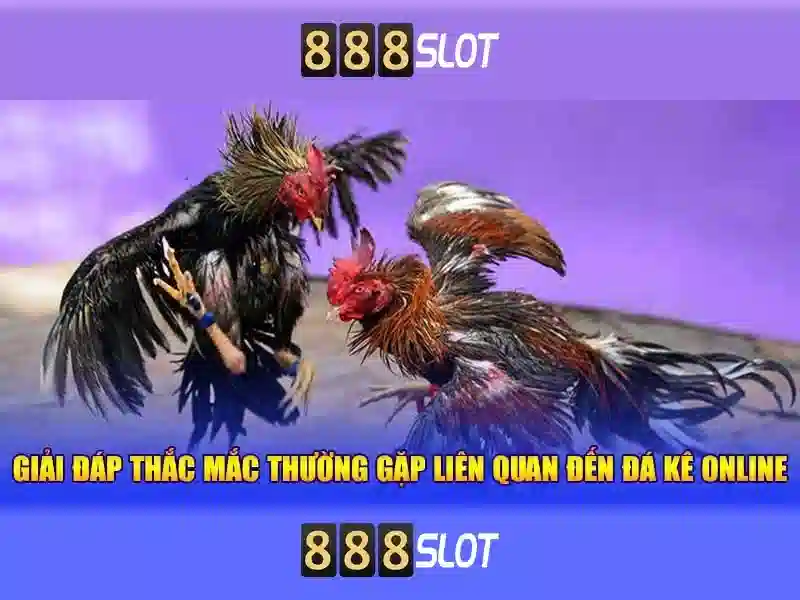 Khuyến mãi và thanh toán an toàn