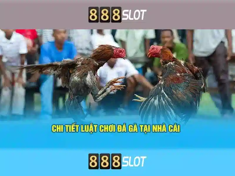 888slot Trải nghiệm casino trực tuyến hàng đầu