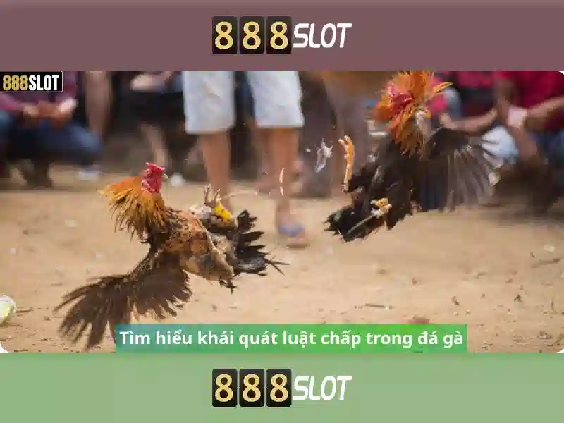 Giao diện và trải nghiệm người dùng