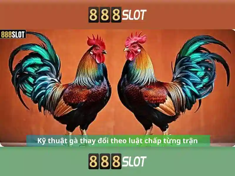 Giao diện người dùng thân thiện