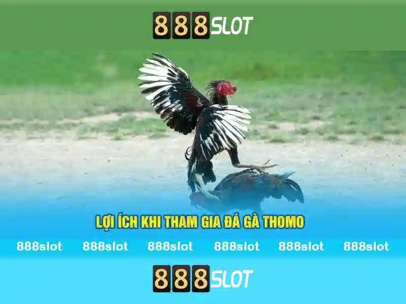 Lợi thế khi chơi tại 888slot
