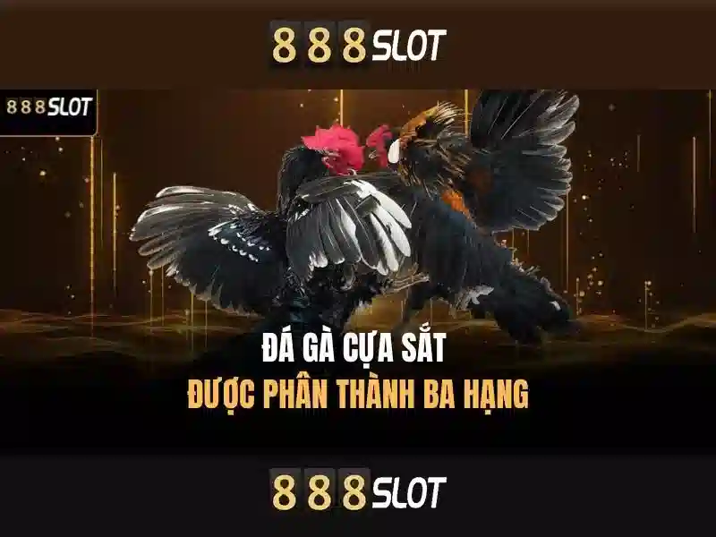 Trải nghiệm người dùng và giao diện