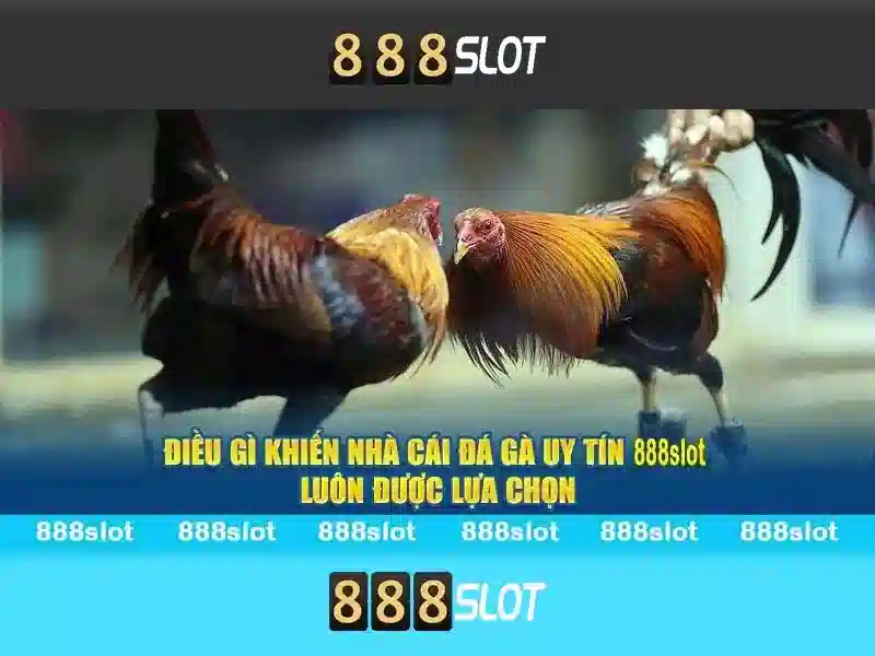 888slot: Nền tảng slot trực tuyến đa dạng và an toàn