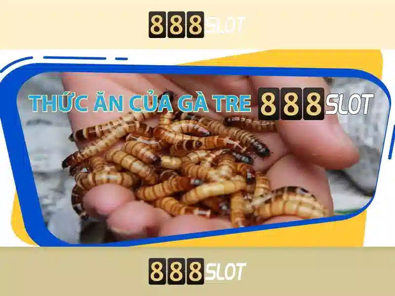 888Slot: Tổng quan về nền tảng chơi slot trực tuyến
