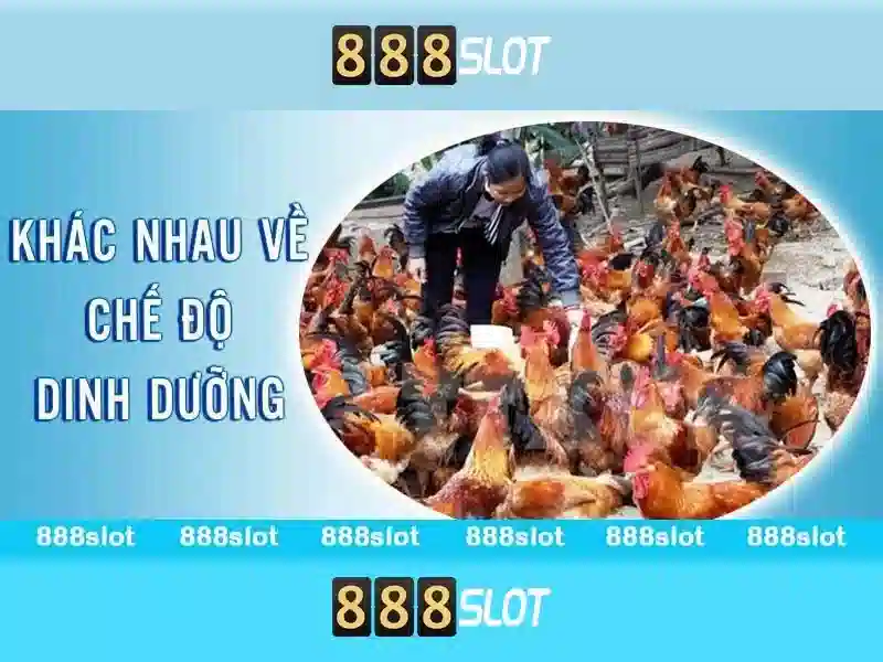 888slot login app: Trải nghiệm đăng nhập và tiện ích hàng đầu