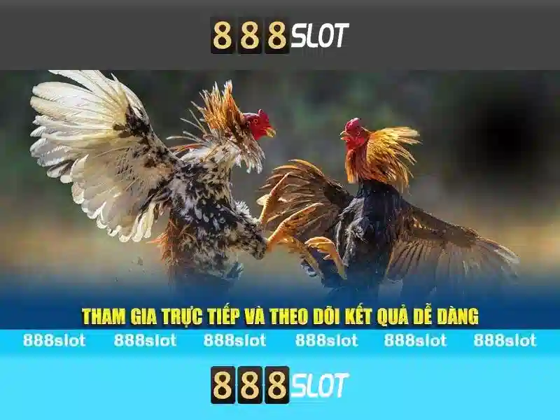 888slot - Đánh giá nền tảng trò chơi trực tuyến