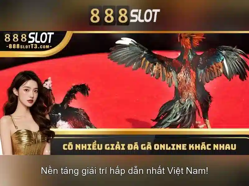 Giải thưởng và khuyến mãi