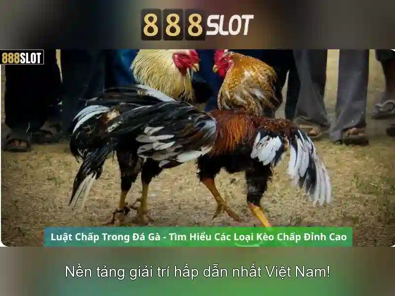 An toàn và thanh toán