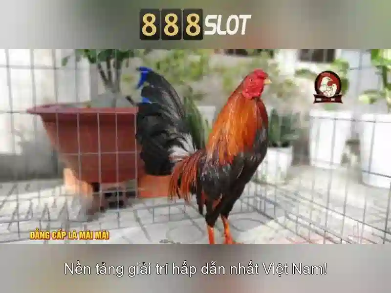 888slot: Khám phá nền tảng casino trực tuyến