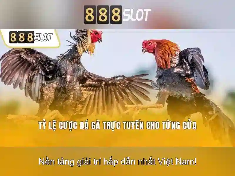 Lựa chọn trò chơi và bộ sưu tập slot