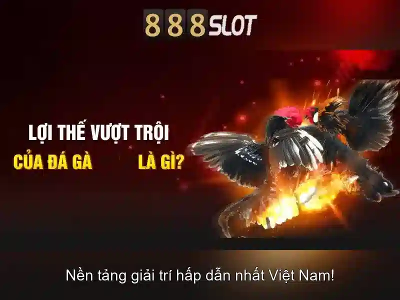 Nguồn gốc từ ngữ và sứ mệnh