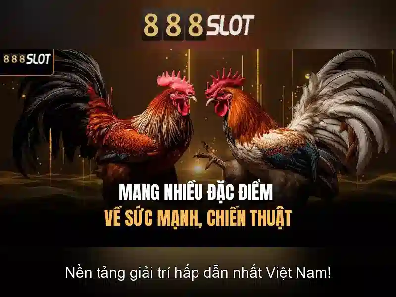 888slot: Đánh giá và trải nghiệm casino trực tuyến