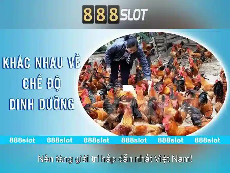 Trò chơi và slot hấp dẫn