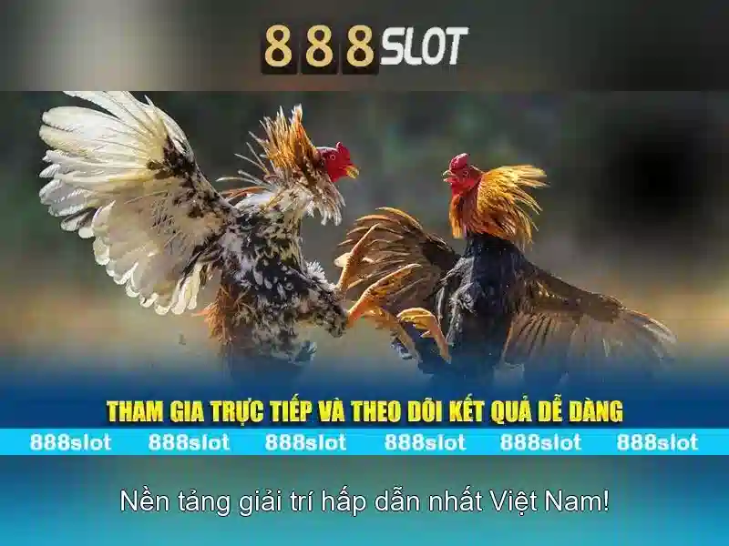 888Slot: Tổng quan về nền tảng chơi slot trực tuyến